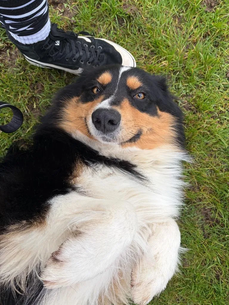 Bryce  Sponsored By thumbnail 2