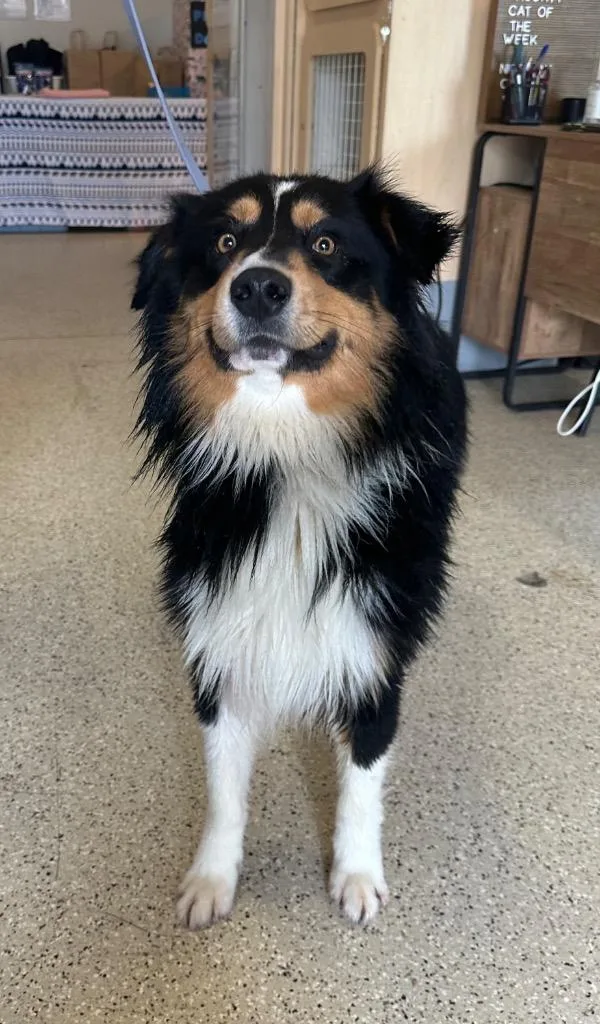 Bryce  Sponsored By thumbnail 5