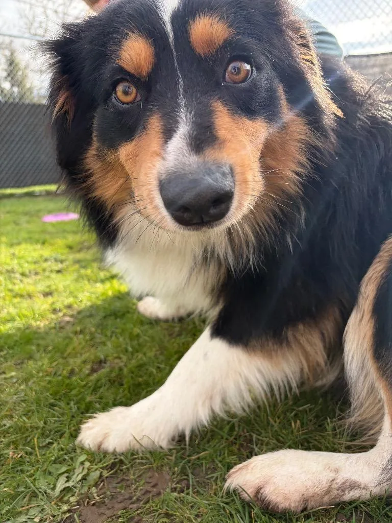 Bryce  Sponsored By thumbnail 6