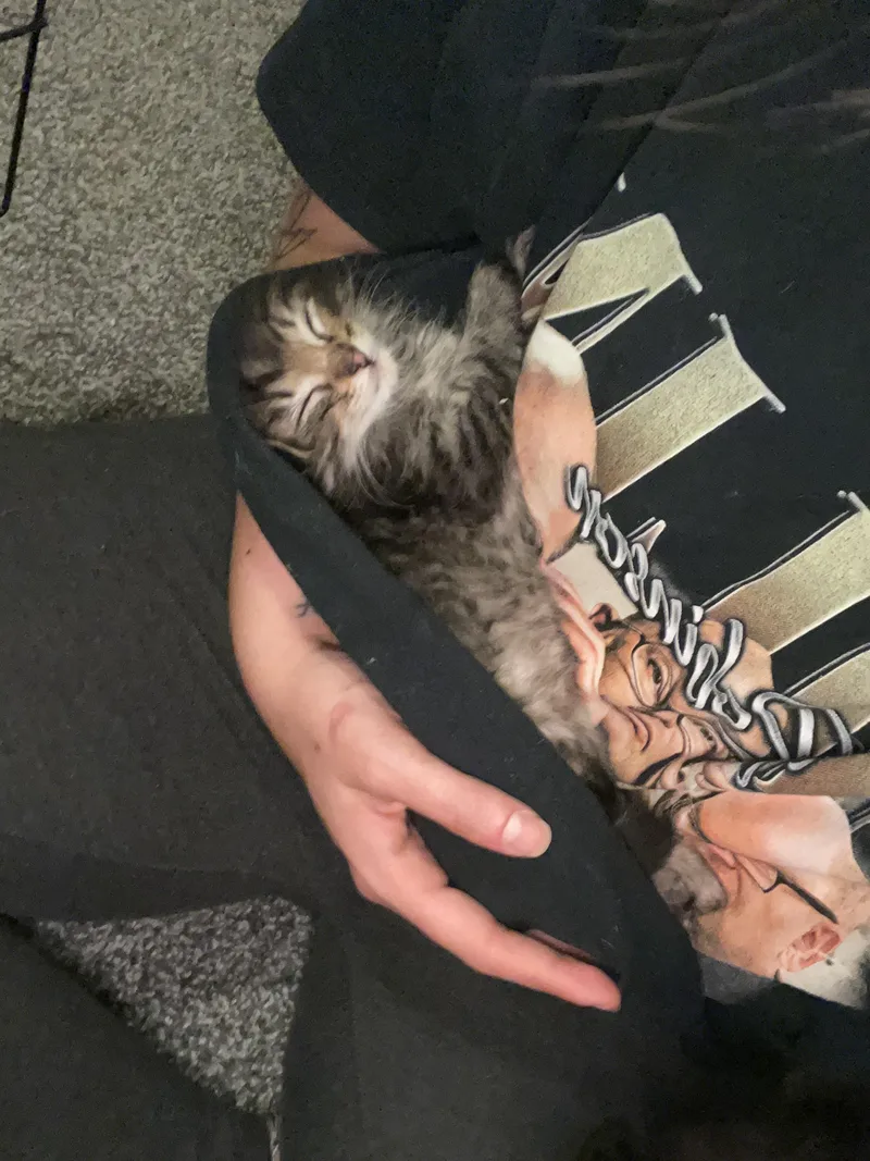Mirah  Miki  thumbnail 2