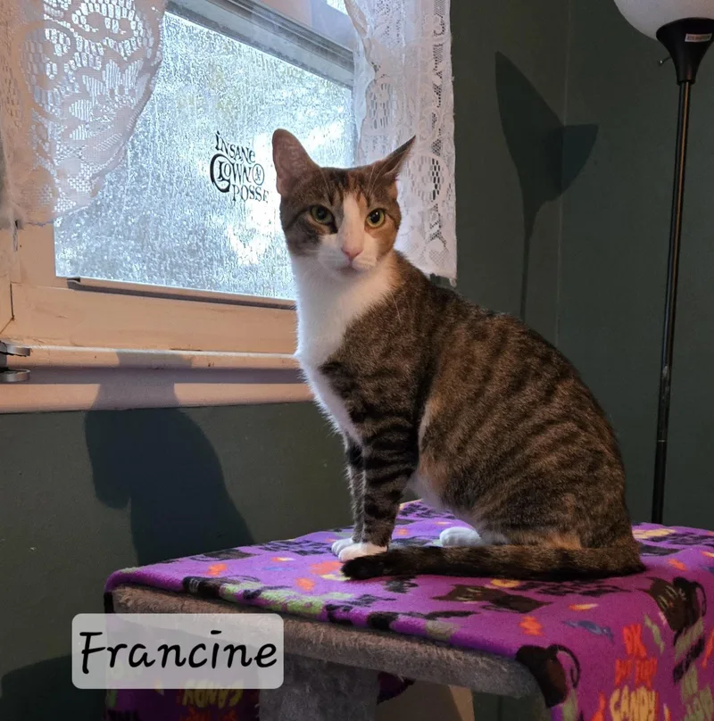 Francine
