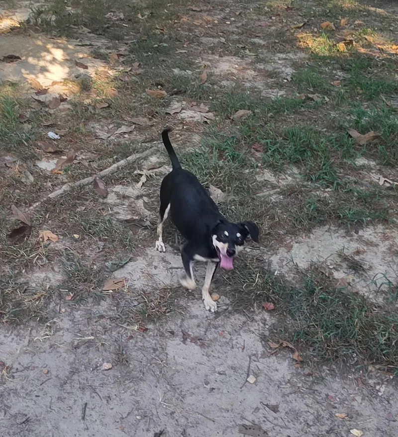 Charlie