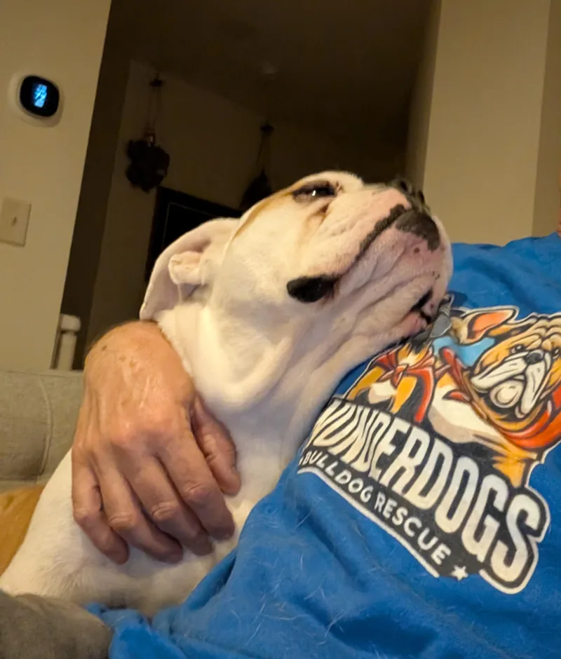Harvey