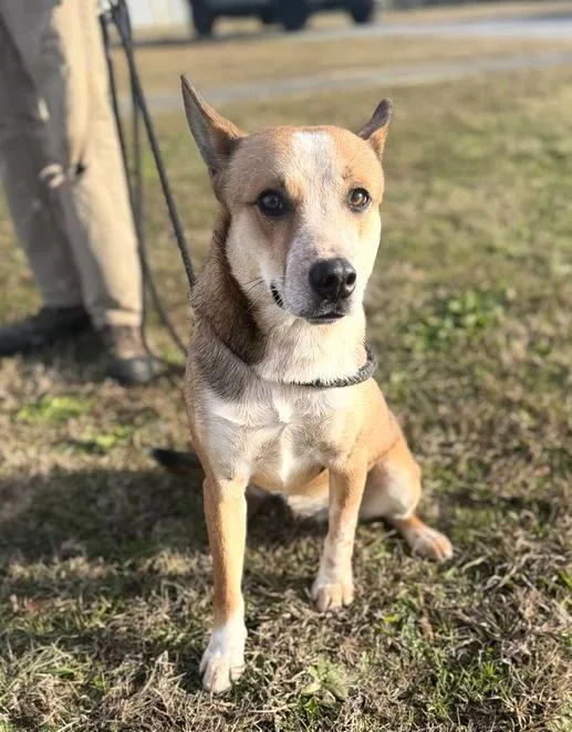 Miller D thumbnail 2