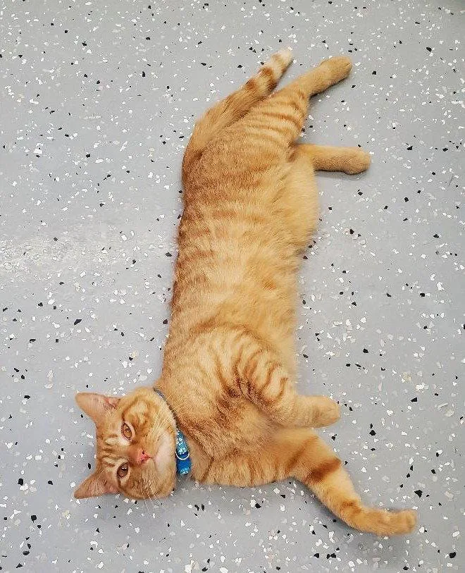 Franklin thumbnail 2