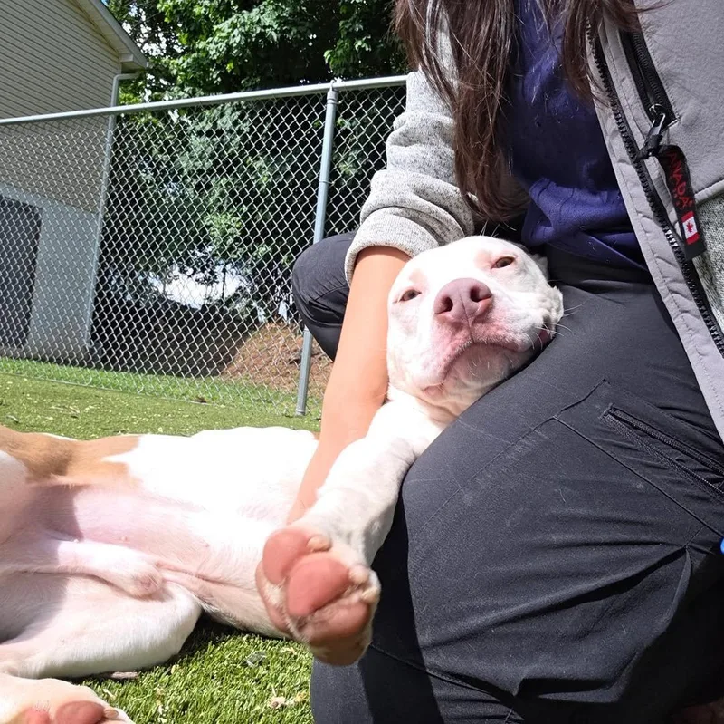 Bruno thumbnail 2