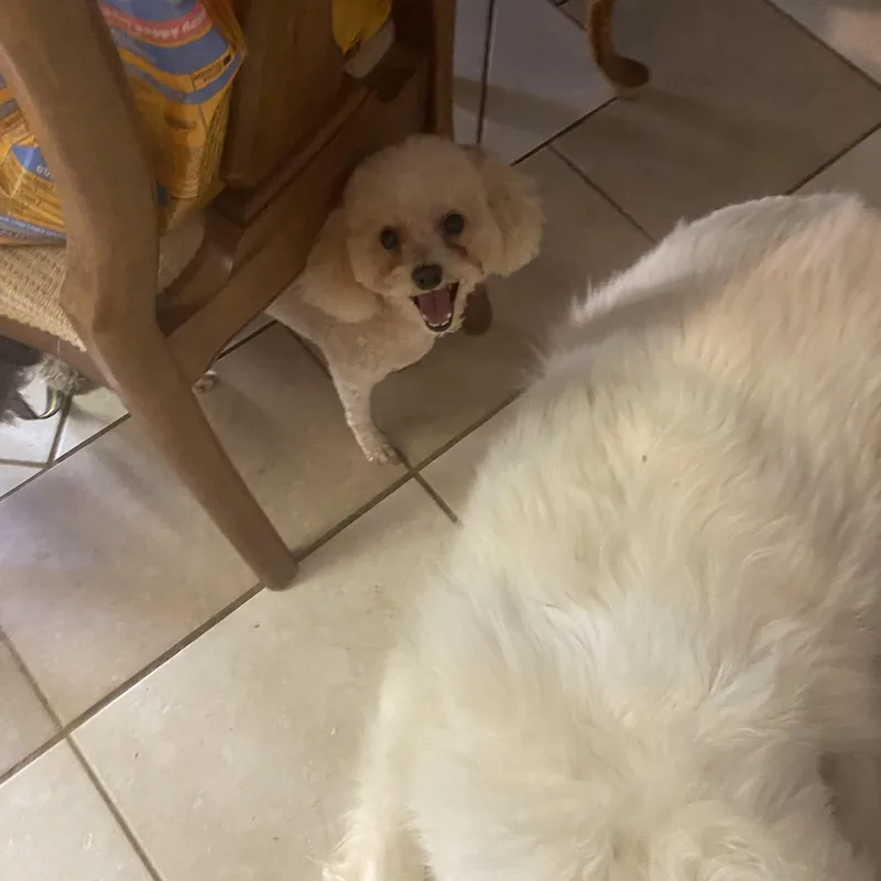 Casper thumbnail 2