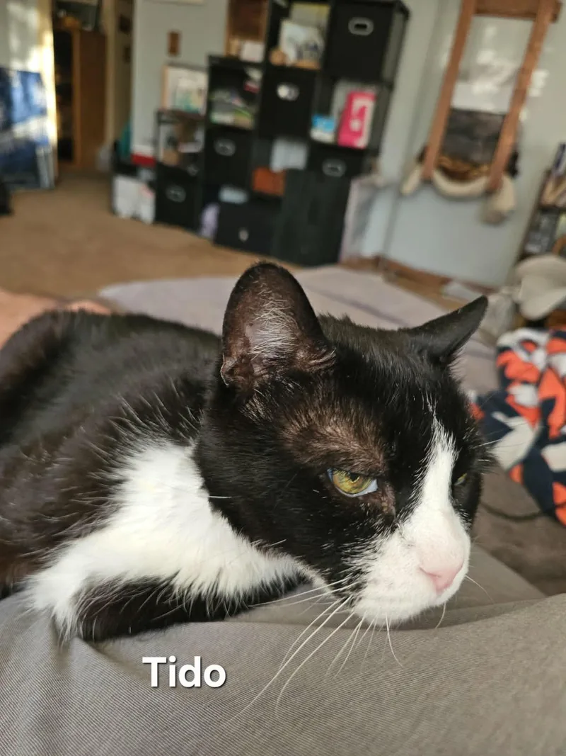 Nikki & Tido thumbnail 2