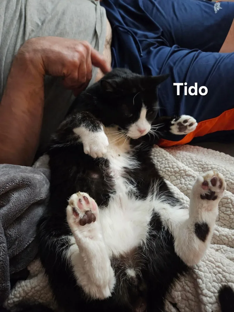 Nikki & Tido thumbnail 4