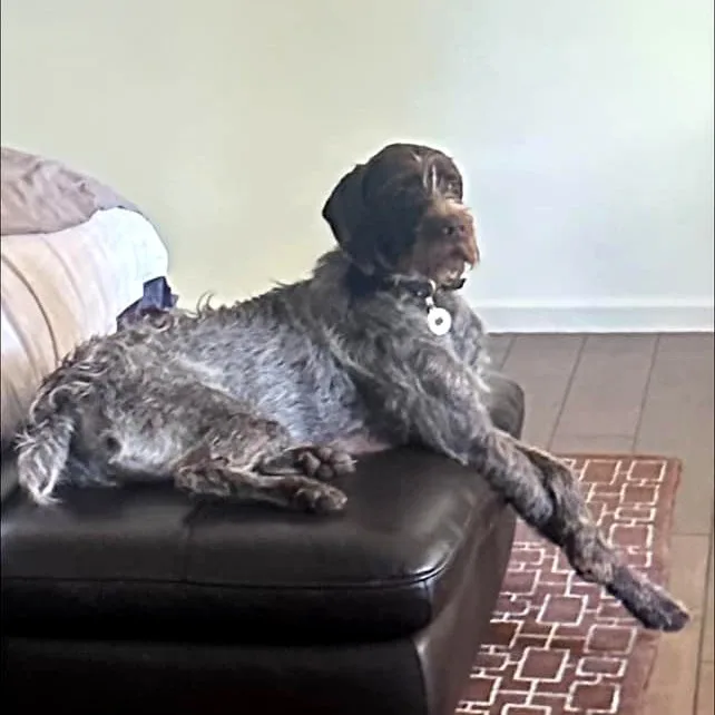 Kosmo