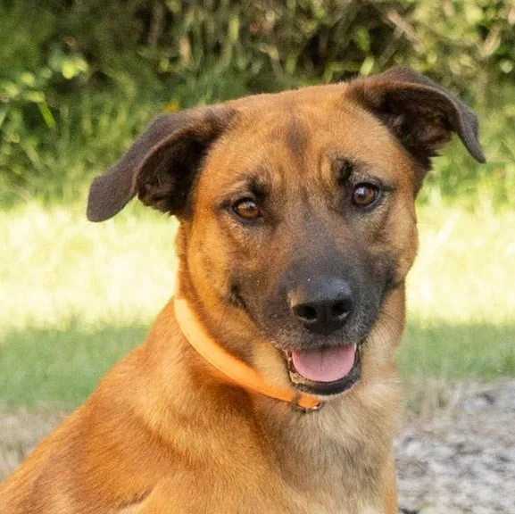 Lucy