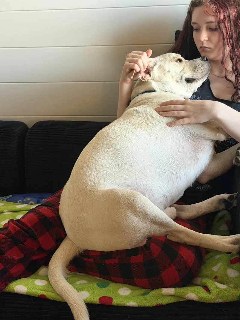 Percy thumbnail 2