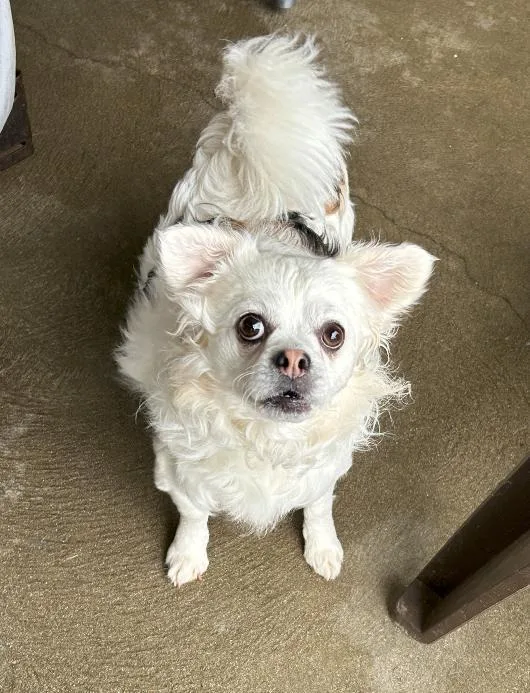 Luna And Harry thumbnail 4