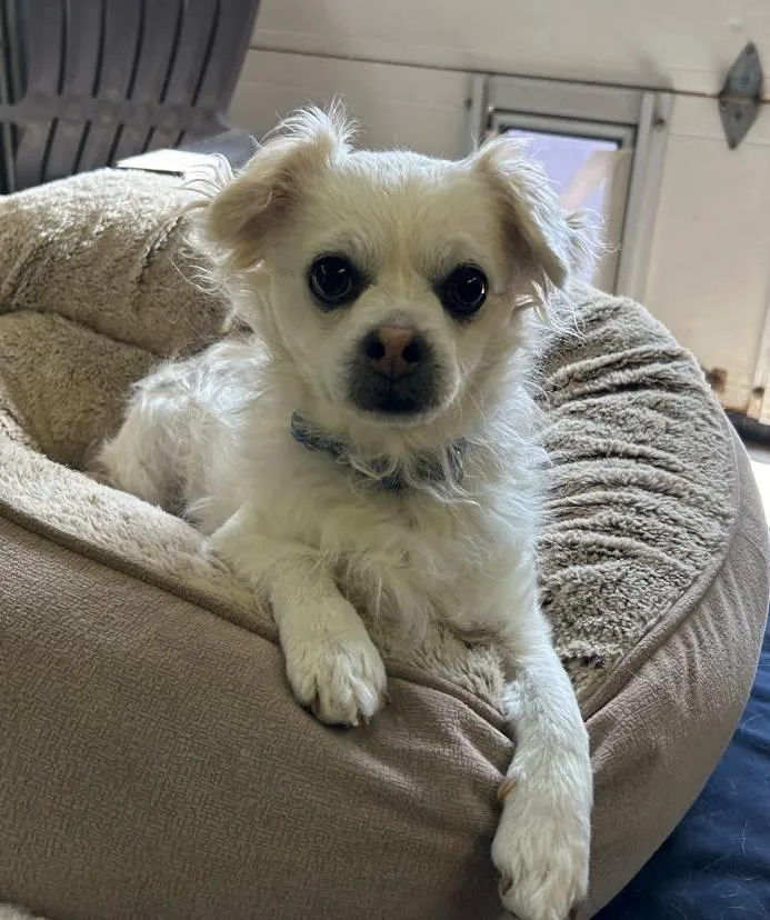 Luna And Harry thumbnail 5