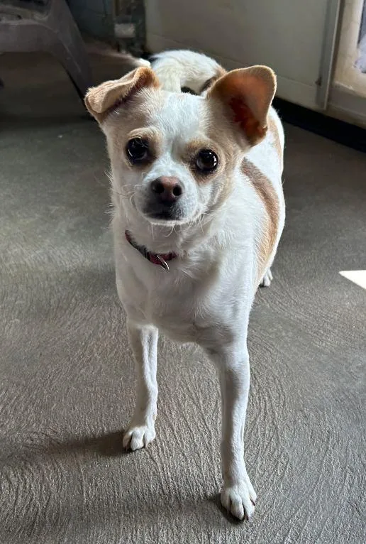 Luna And Harry thumbnail 6