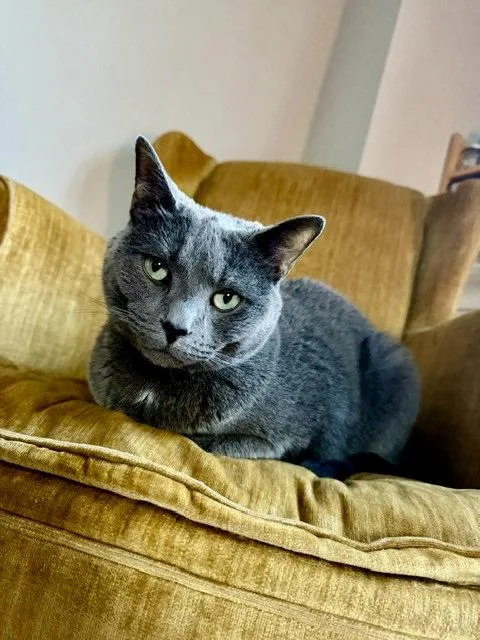 Benny