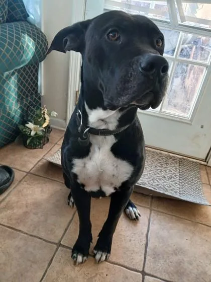 Leroy Gore thumbnail 2