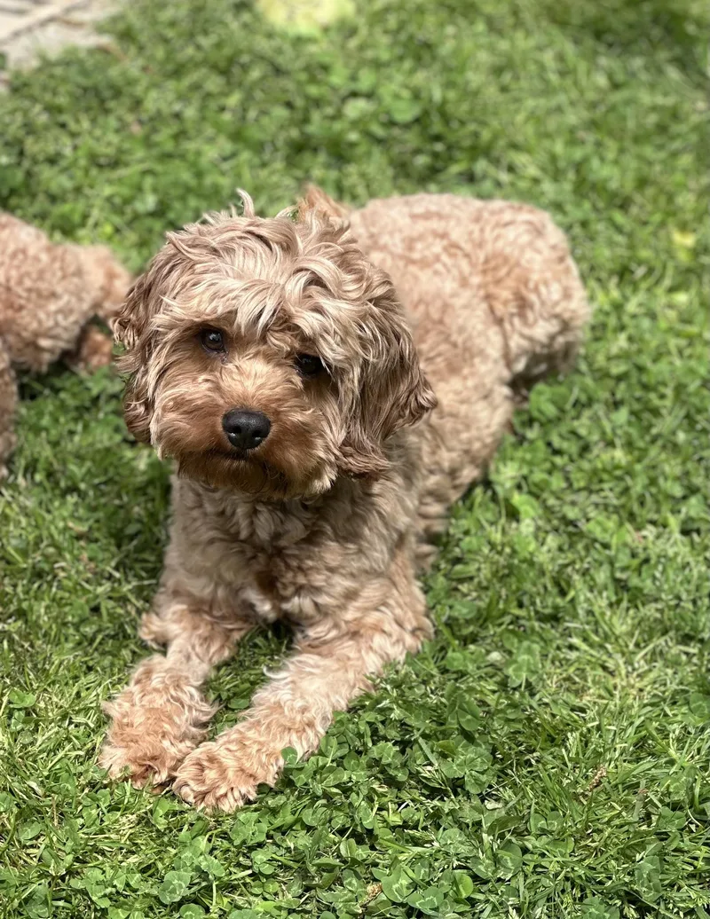 Hercules thumbnail 2