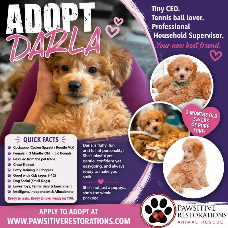 Darla thumbnail 2