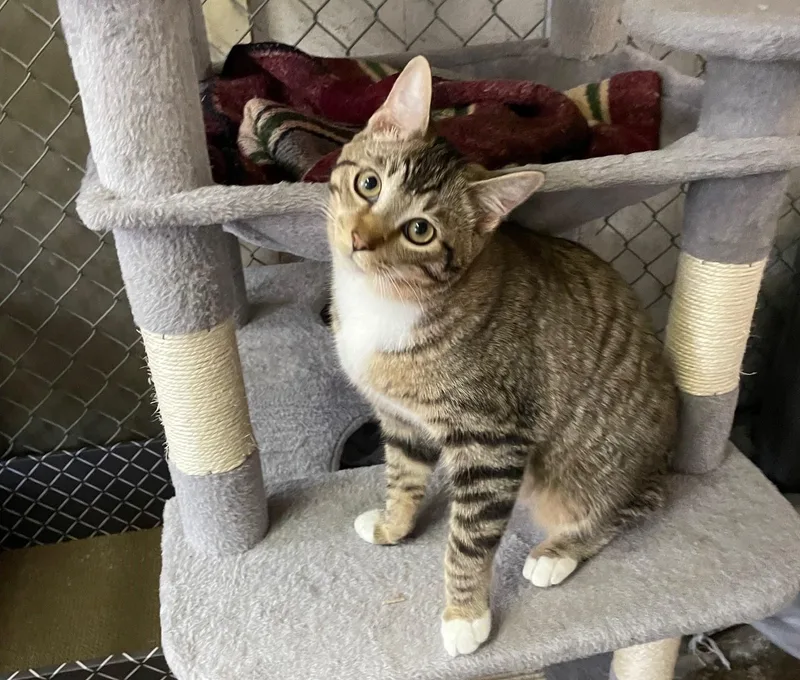 James Dean thumbnail 3