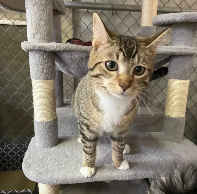 James Dean thumbnail 4