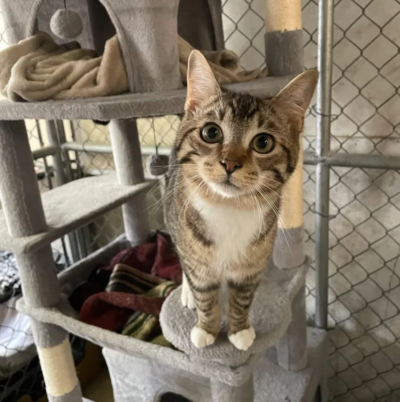 James Dean thumbnail 5