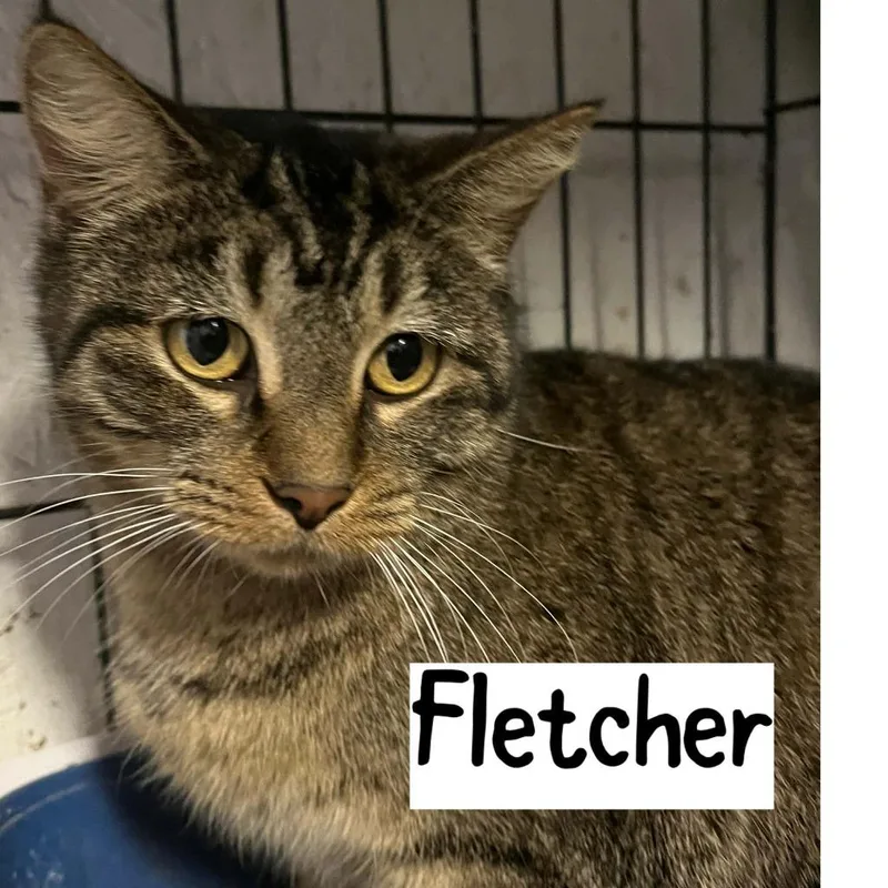 Fletcher