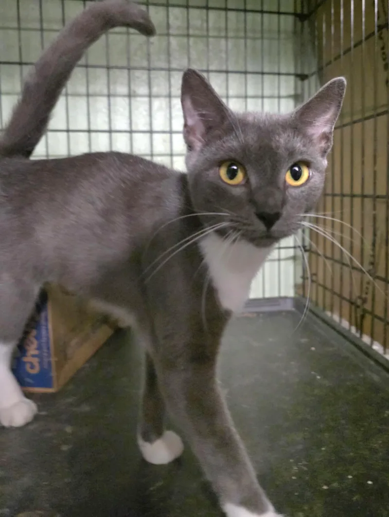 Cleo & Cici thumbnail 2