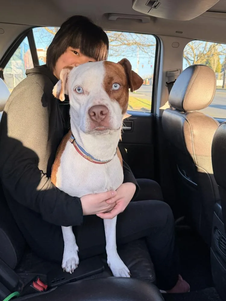 Ruby Ann thumbnail 2