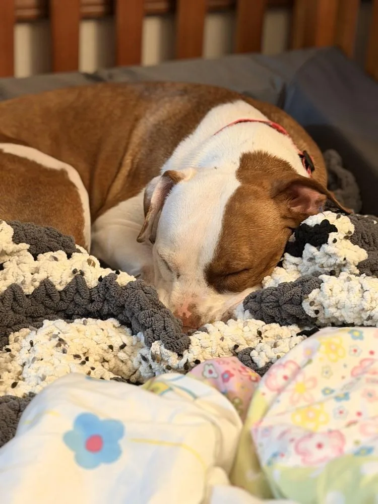 Ruby Ann thumbnail 3