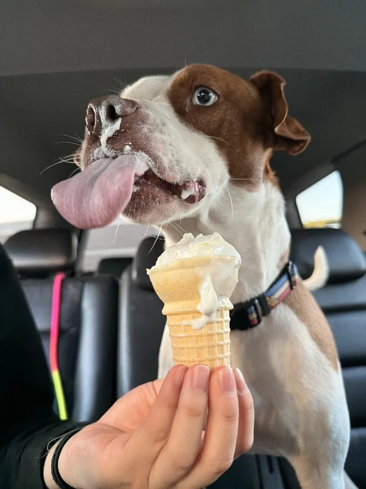 Ruby Ann thumbnail 5