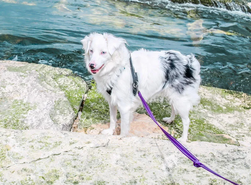 Emma Please Read The thumbnail 2