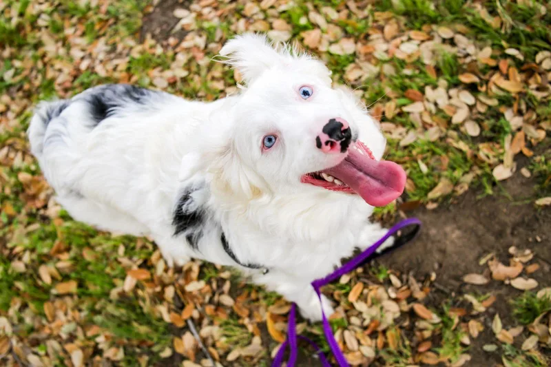 Emma Please Read The thumbnail 3