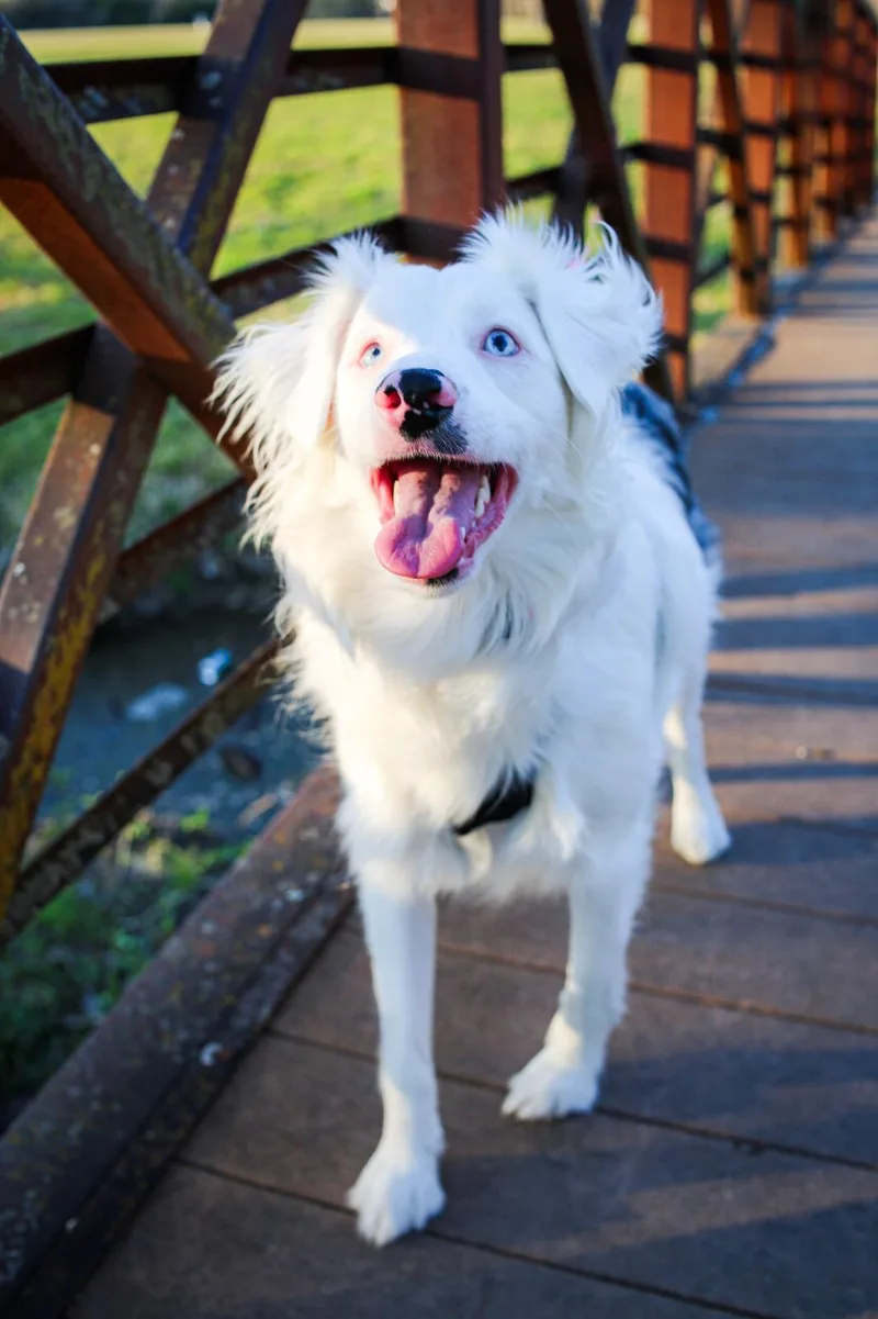 Emma Please Read The