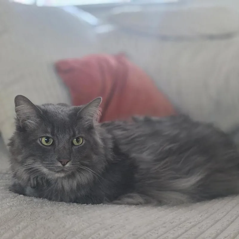 Sammy