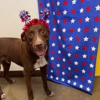 Buster Brown