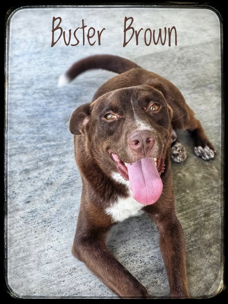 Buster Brown thumbnail 3