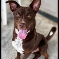 Buster Brown thumbnail 5
