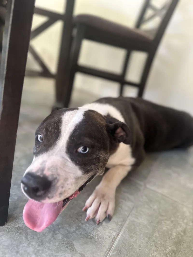 Princess thumbnail 2