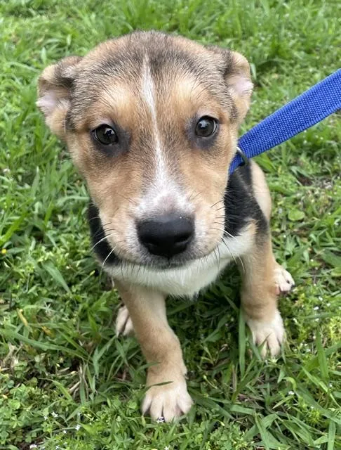 Maggie