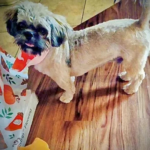 Coco thumbnail 2
