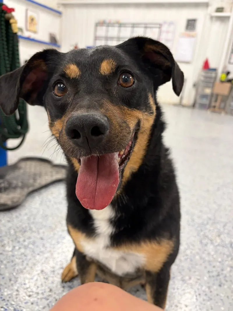 Max AKA Lil Max