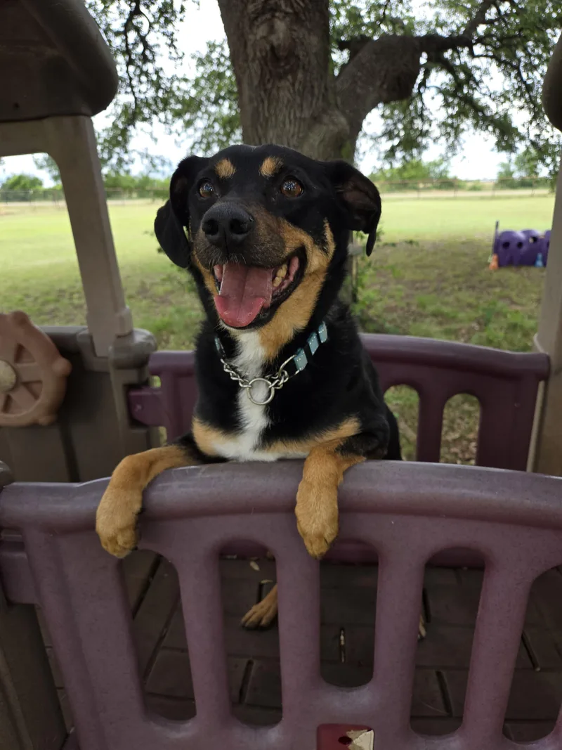 Max AKA Lil Max thumbnail 4