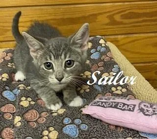 Sailor thumbnail 2