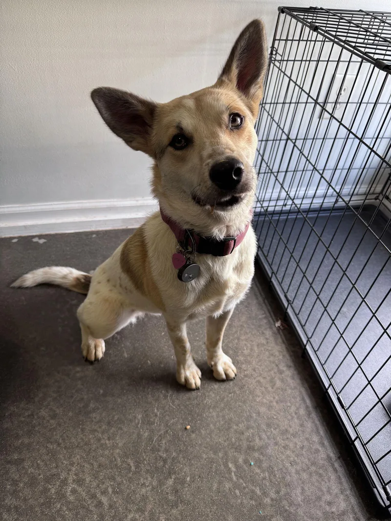 Mollywobbles thumbnail 2