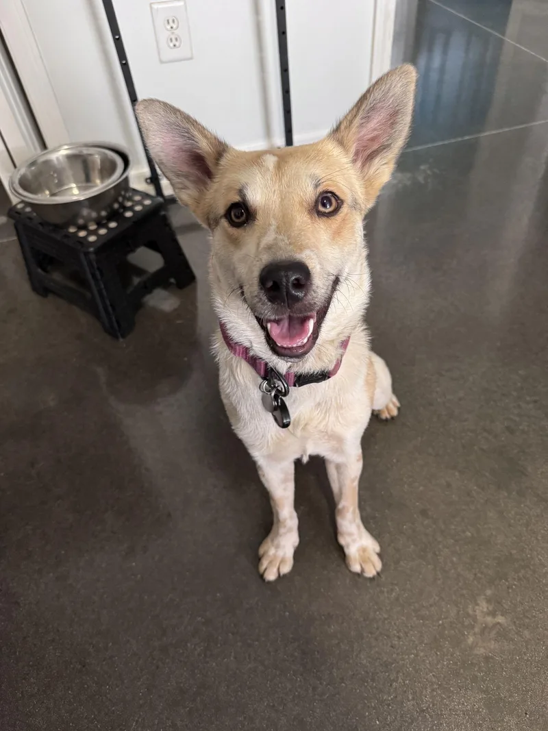 Mollywobbles thumbnail 3