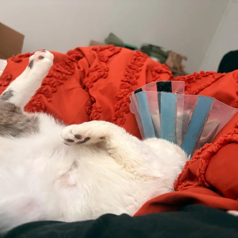 Mcflurry thumbnail 5