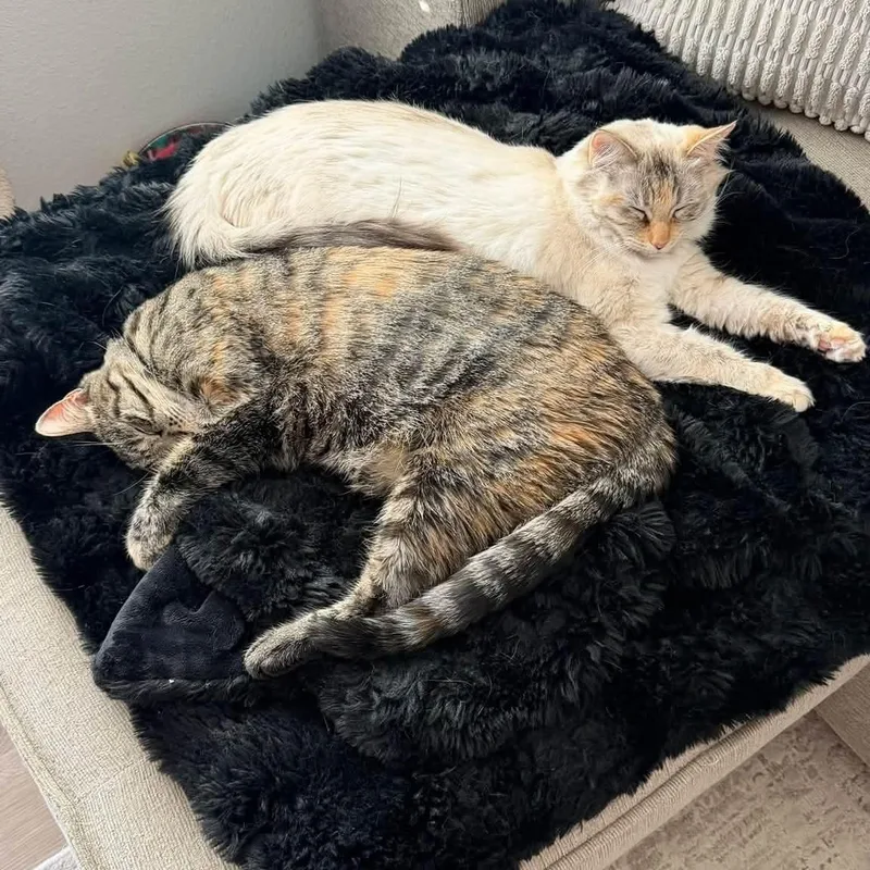 Coco & Cleo