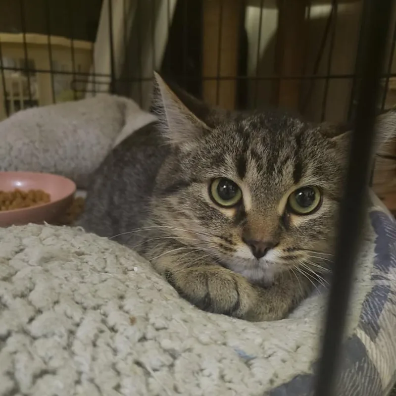 Gilbert Medina thumbnail 2