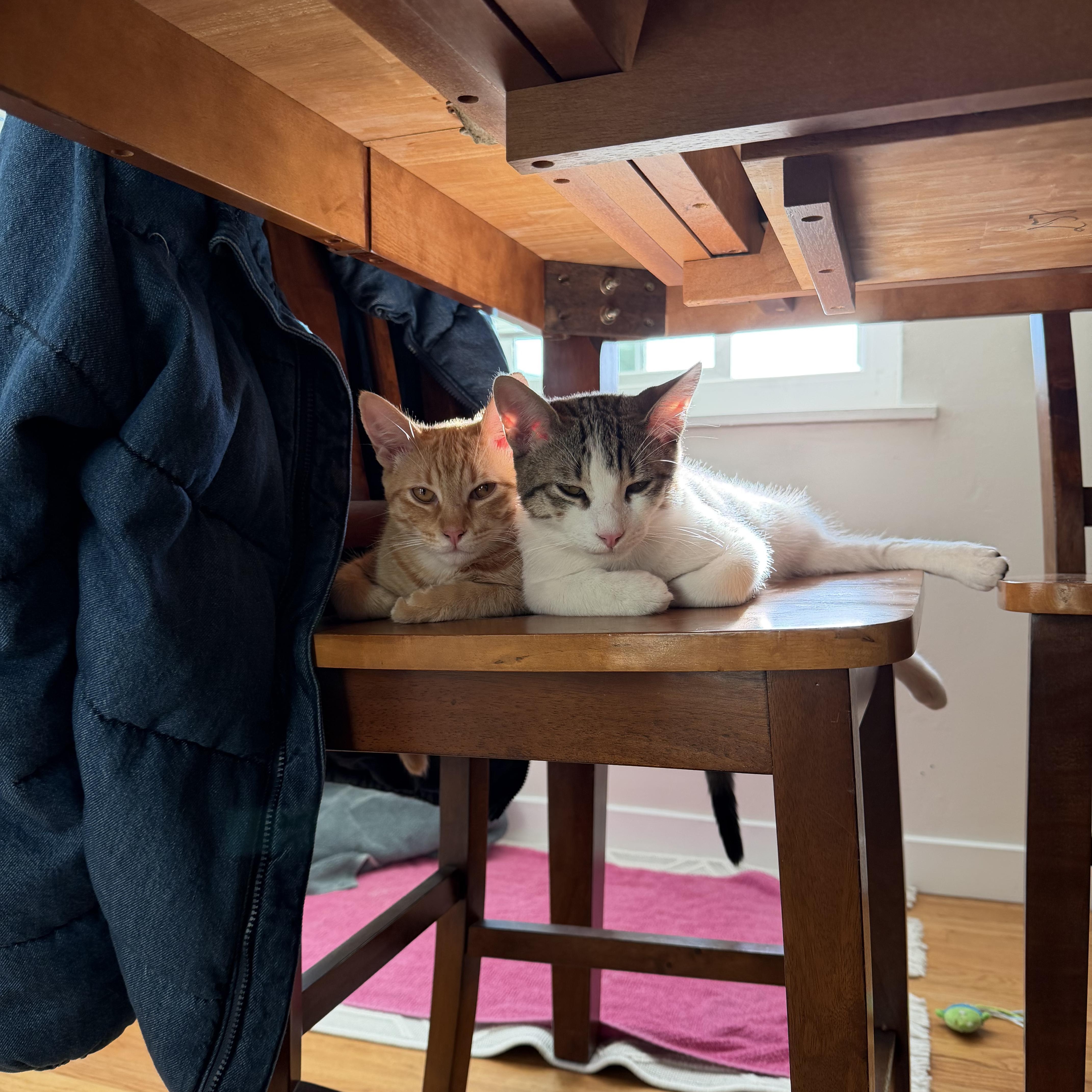 Pepperpot thumbnail 5